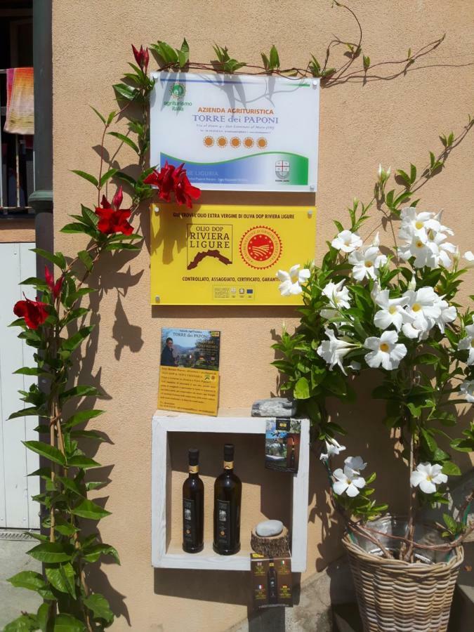 Loft Al Mare San Lorenzo al Mare Exterior foto
